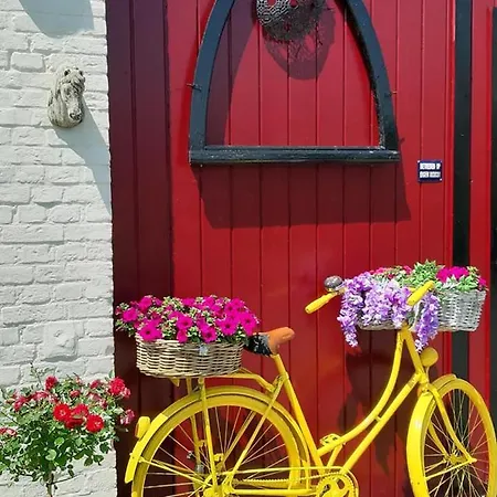 博格达尔酒店 酒店 3*