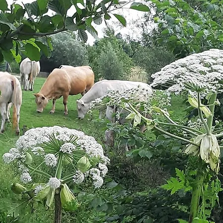 Berg En Dal Hotel 3*