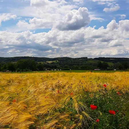 博格达尔酒店 3*