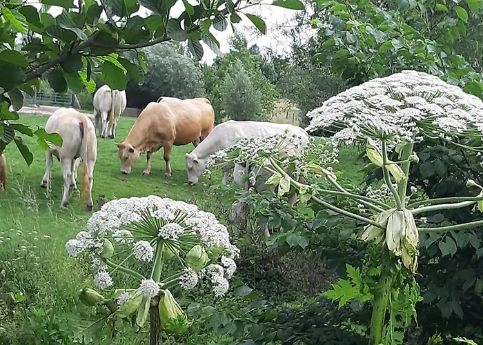 Berg En Dal Hotel 3*