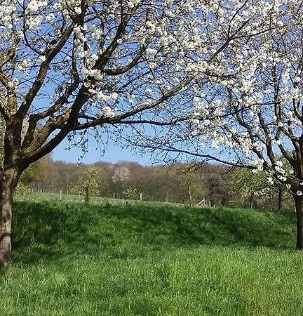 Berg En Dal 3* Epen