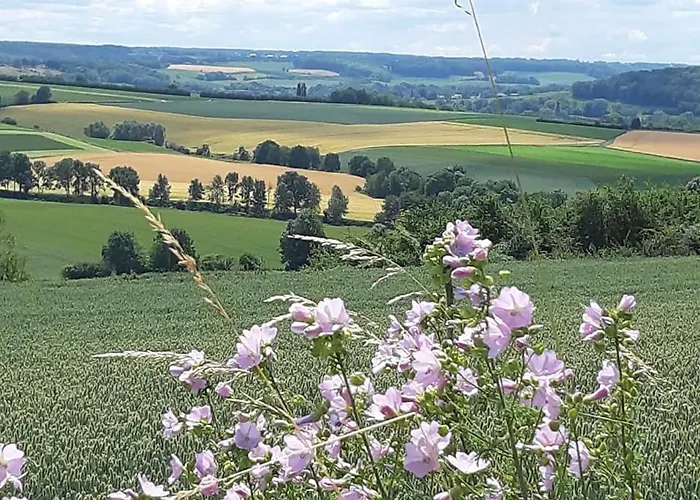 מלון Berg En Dal אפן