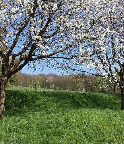 Berg En Dal 3* אפן